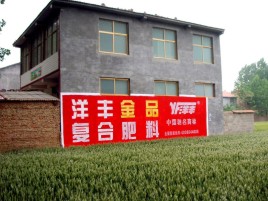 巴南如何让墙体广告展现最大化效果