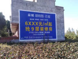 巴南品牌公司青睐的墙体广告