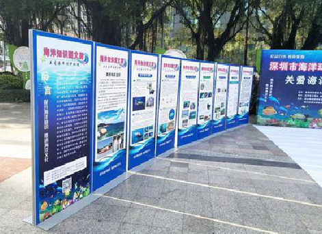 巴南KT板的种类和知识。